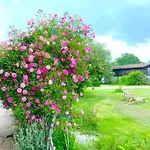 Belle Maison De Independante, Piscine Et Jardin Privatifs & Clotures 30 Minutes Au Sud Bordeaux