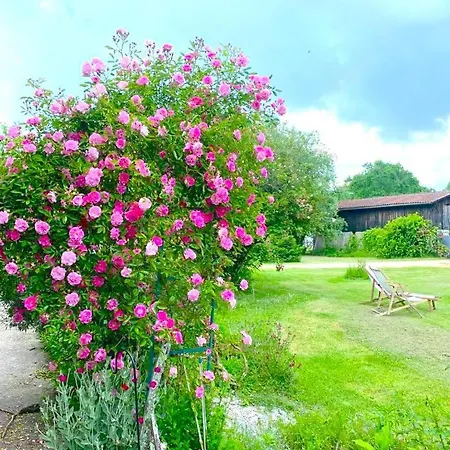 Belle Maison De Independante, Piscine Et Jardin Privatifs & Clotures 30 Minutes Au Sud Bordeaux